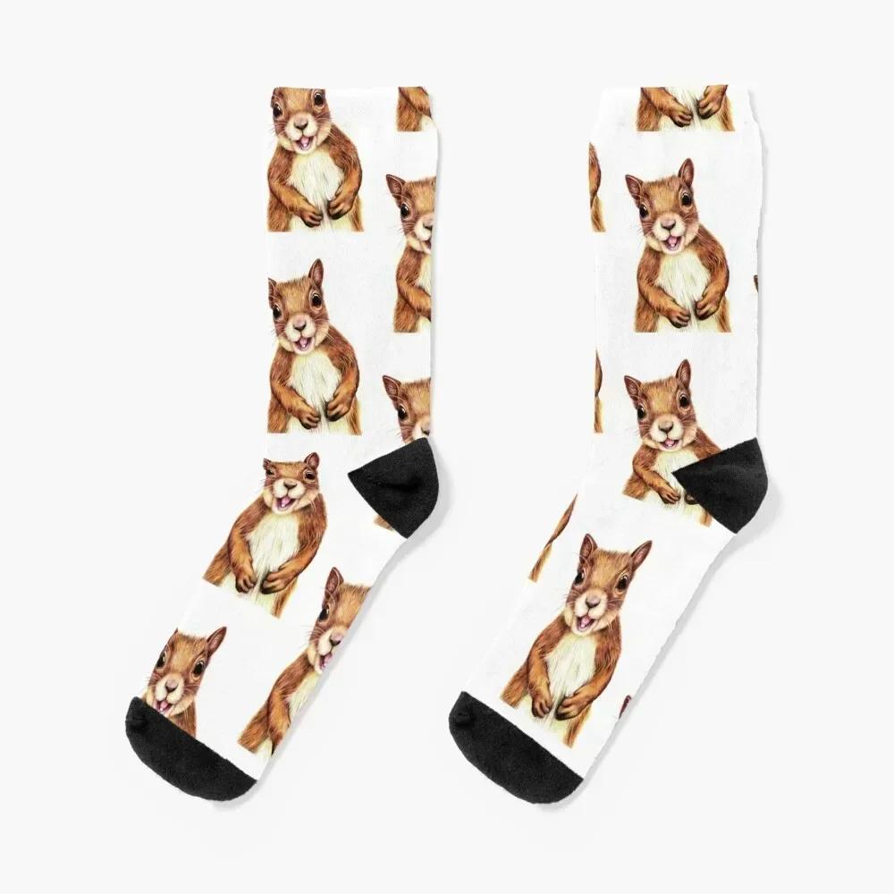 

Seamus the squirrel says hello Socks soccer anti-slip Stockings man aesthetic hiking Women's Socks Men's