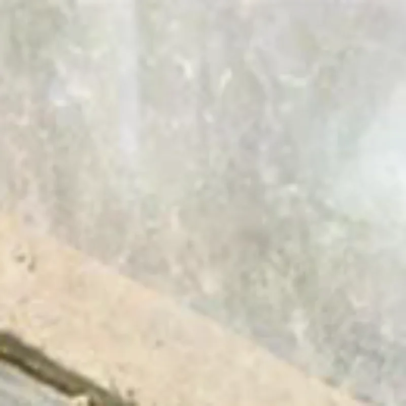 دفع سحب إيفا + PP شريط عازل ذاتية اللصق يندبروف نافذة عازلة كتلة انزلاق صعودا وهبوطا المسار فرشاة قطاع نافذة الأجهزة