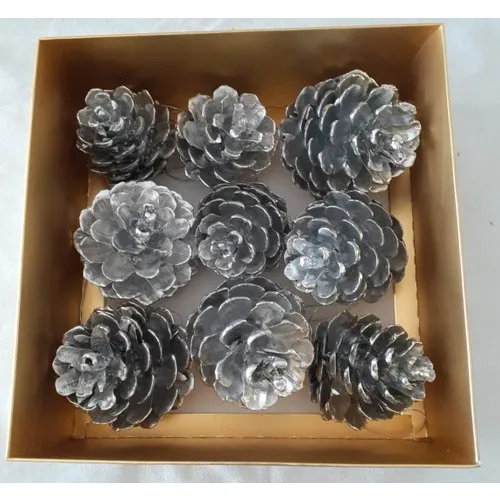 Cono d'argento ad immersione alacuatillas 9lu