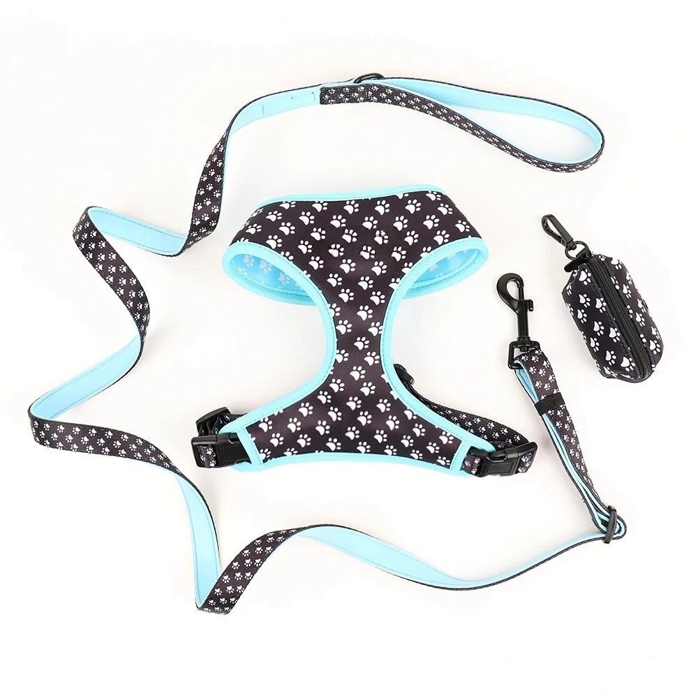 Small Size Dog Harness and Leash Set Personalized Animal Print Pattern Dog Harness and Collar Lead with Bow Tie for Pets