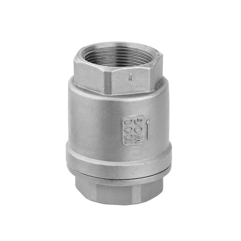 SS304 Vertikales Rückschlagventil mit Innengewinde H12W-16P 1/2" 3/4" 1" 1-1/4" 1-1/2" Innengewinde-Feder-Einweg-Rückschlagventil