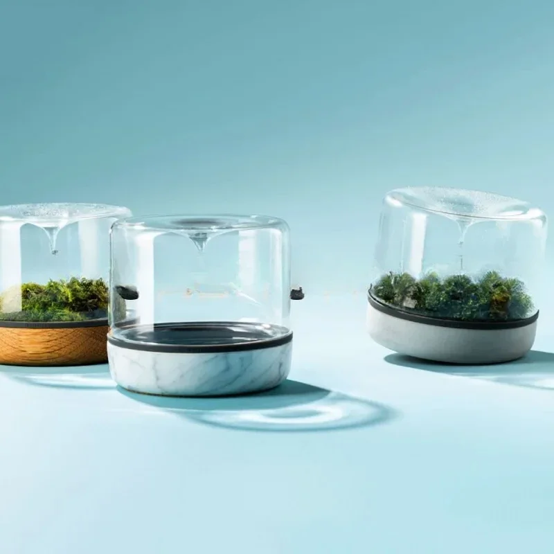 زجاجة Geonature Momo-M هندسية طبيعية متوسطة الطحلب ذات مناظر طبيعية صغيرة من الخشب الصلب