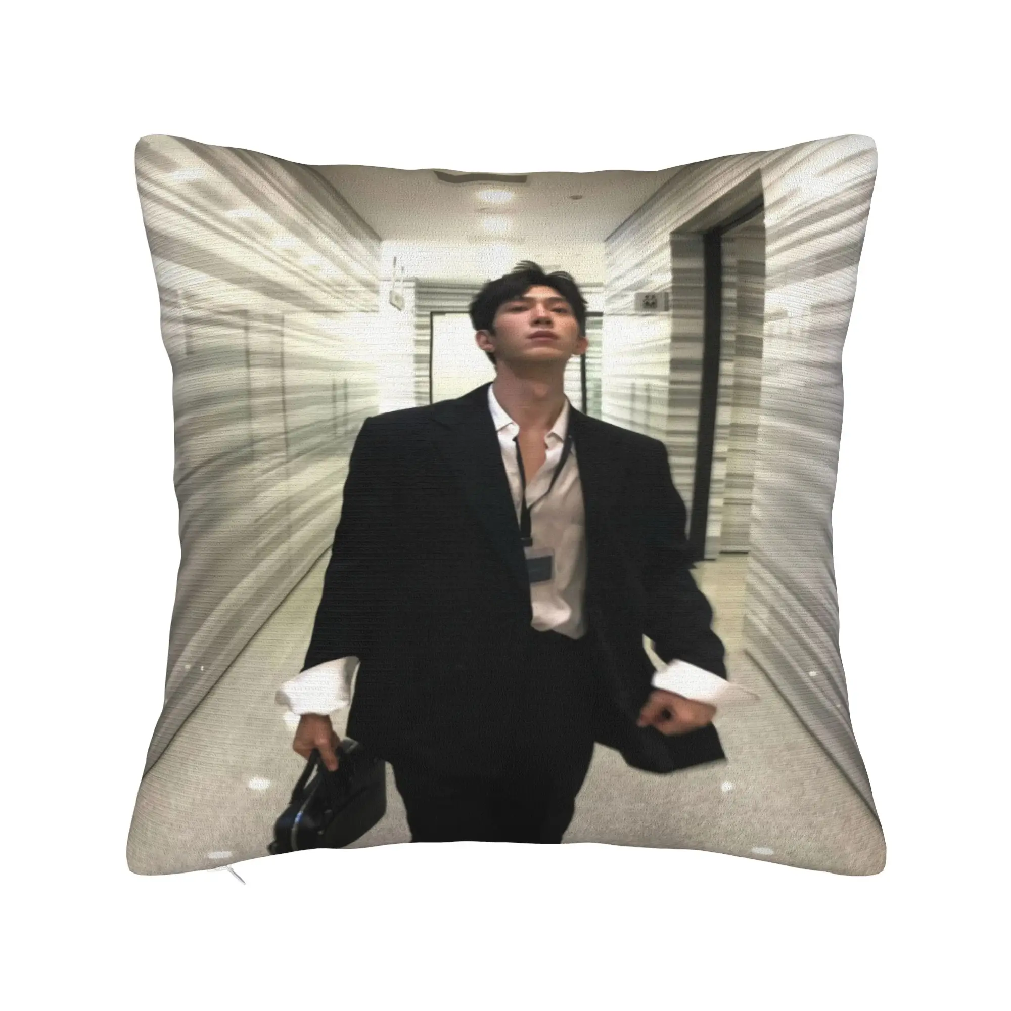 The Early Spring Luke Pillow Cover  Comfy Cushion Cover Novelty Pillow Case For Living Room Chair