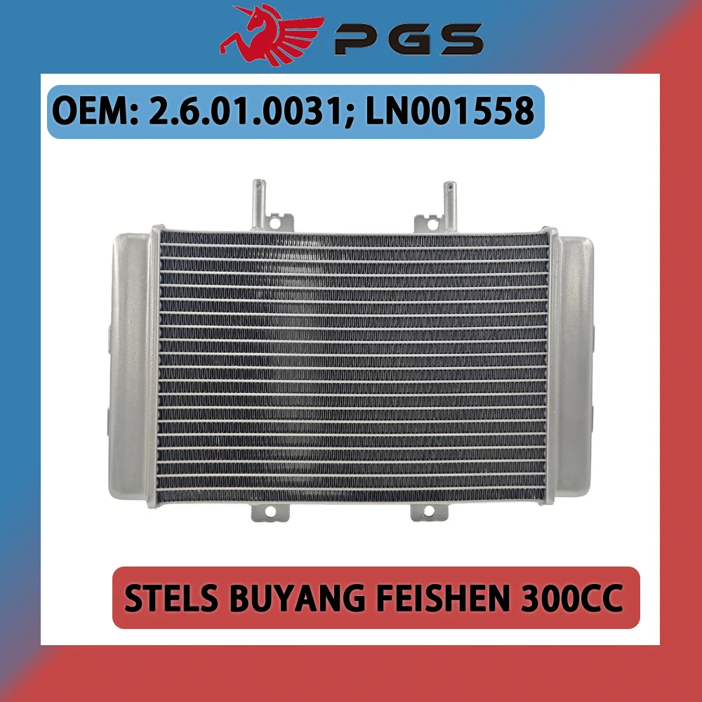 Water Tank Radiator For Buyang FEISHEN FA-D300 H300 Quad Bike 2.6.01.0031 LN001558