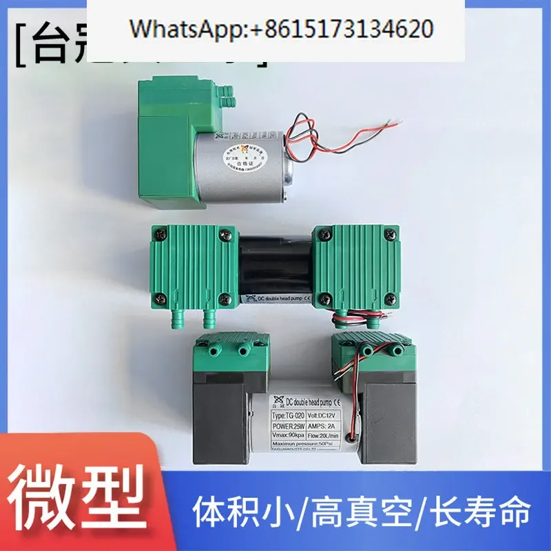 Taiguan Small DC Vacuum Pump Silent 12/24/220V Extraction and Pumping Dual Use Micro Diaphragm Negative Pressure Air Pump