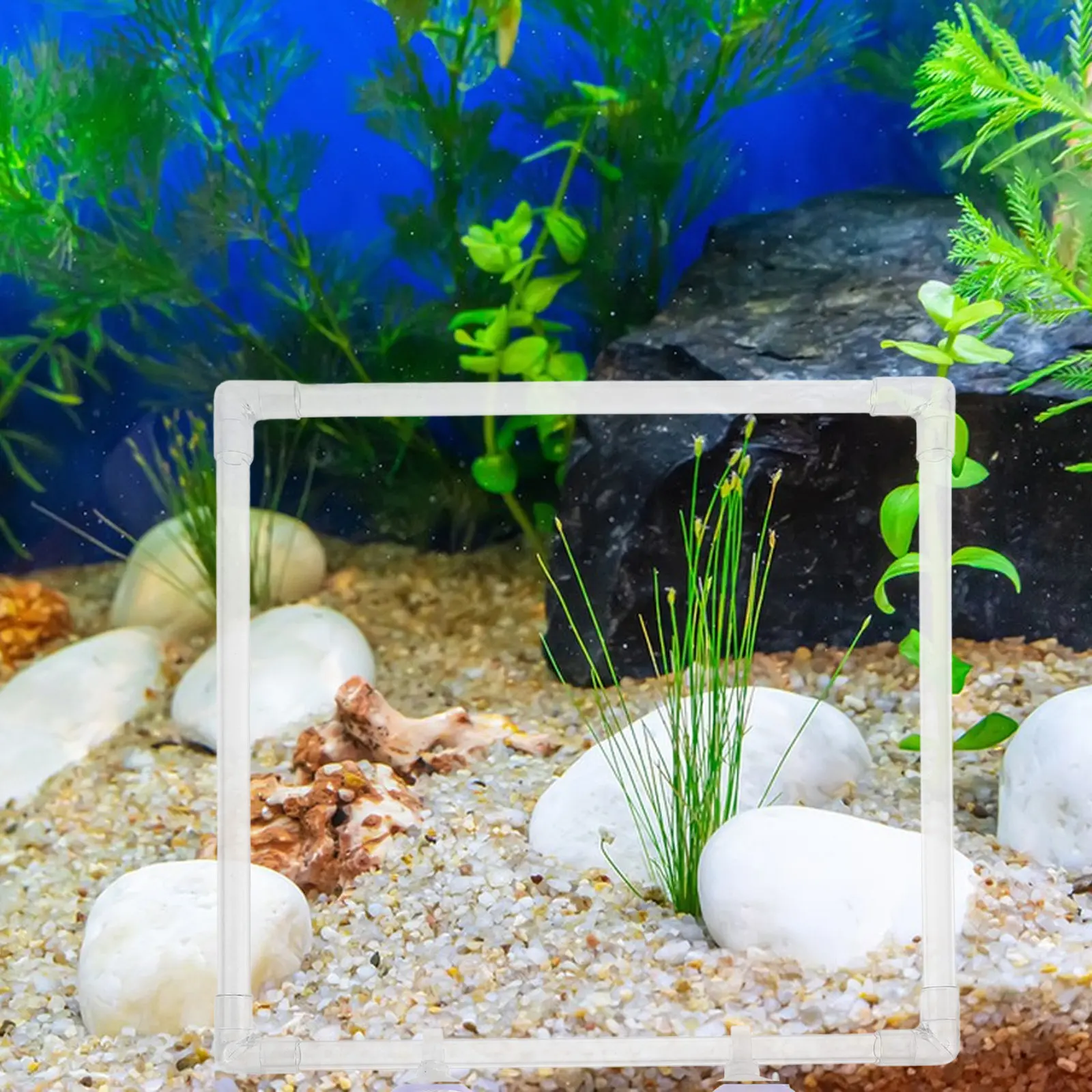 Aquarium Fish Keeping - Acrylic Fish Feeding Ring Transparent Floating