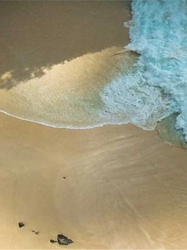 

ame ool ach ying ys astic sc mergs isc lf porah cessres oor Flg Disc y или amly ame