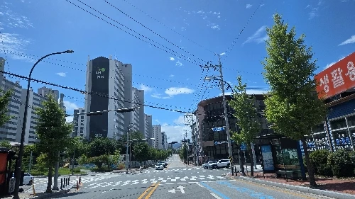 실물 포토 리뷰