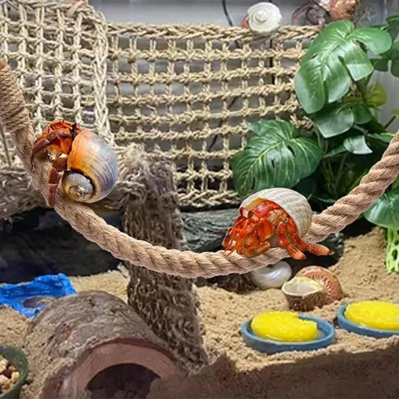Hermit Crab Climbing Toys 21.6in Sturdy Hermit Crab Climbing Tool Suction Cup Long-Lasting Hermit Crab Reptile Tank Terrarium