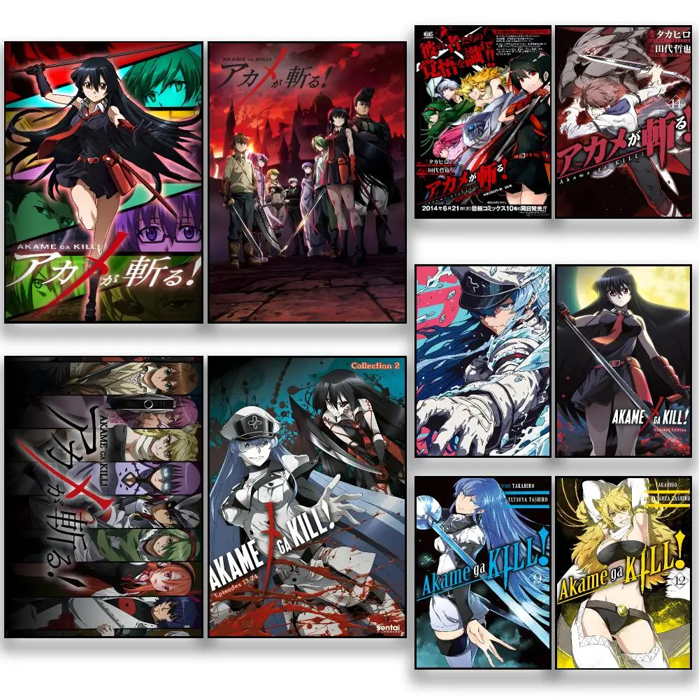 Anime A-Akame ga Kill Dark Action Poster HD Removable Wall Art Gift Bedroom Lounge Dorm Office Gaming Cafe Bars