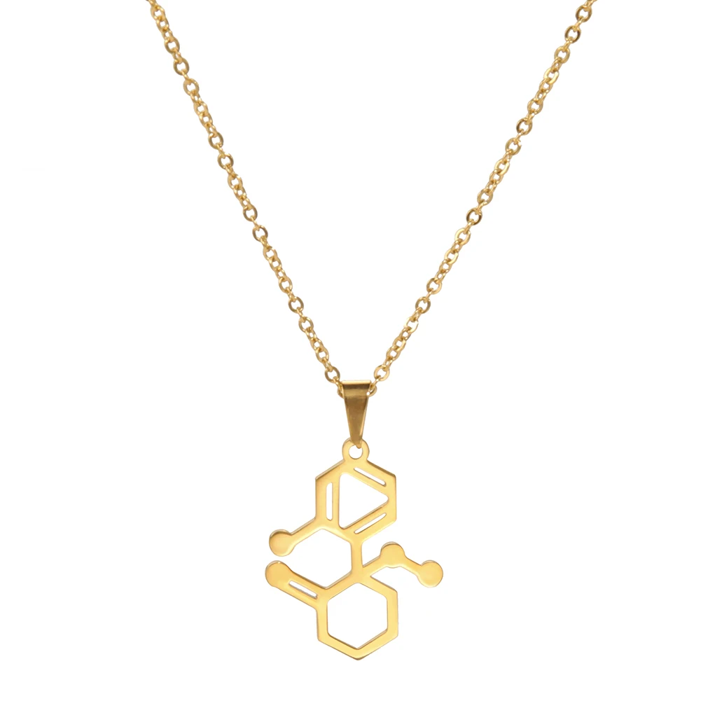 Dreamtimes Dopamine Molecule Necklaces Fashion Stainless Steel Necklace For Women Men Chemical Formula Pendant Graduation Gifts