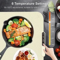 Plaque chauffante électrique, tapis chauffant pour aliments, Table à manger en Silicone, chauffage rapide des aliments, plateau chauffant pour café, plaque chauffante pliable pour aliments 2
