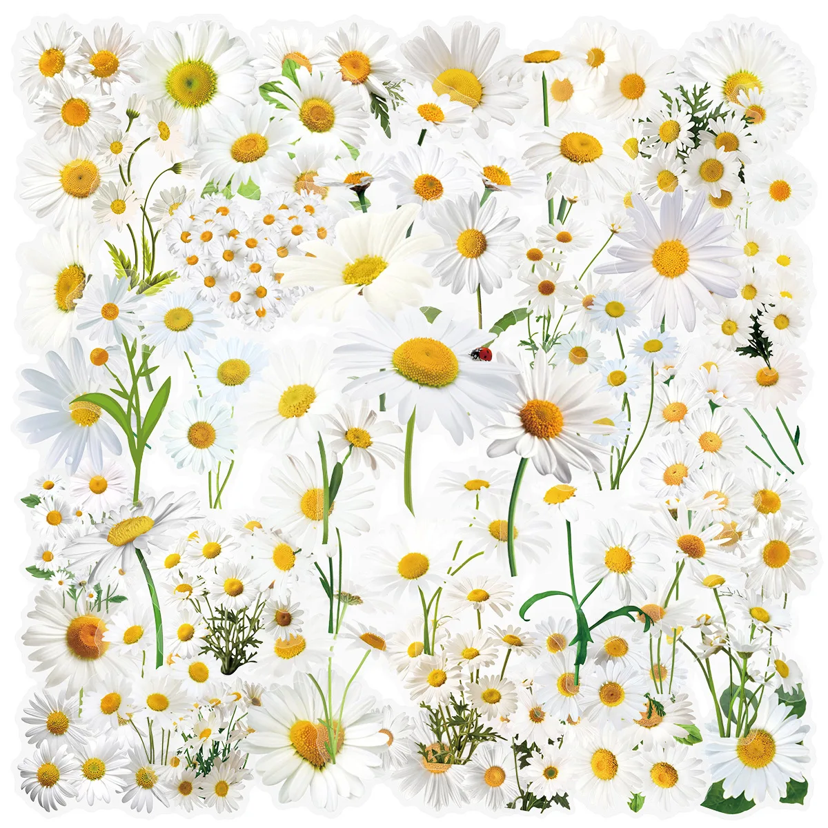 

50Pcs Daisies Flower Stickers Scrapbooking Stickers DIY Phone Case Material Handbook Water Cup Plant Transparent PET Stickers