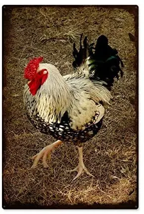 

Винтажный металлический жестяной знак Черный Белый Петух красная расческа уличный и домашний бар Уличный настенный Декор знаки 12x8 дюймов