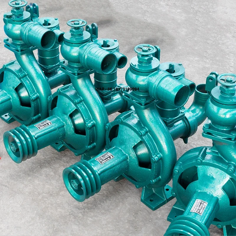 Pompe Eau Lectrique High Pressure Irrigation Pumps Centrifugal Water Pump for Agriculture