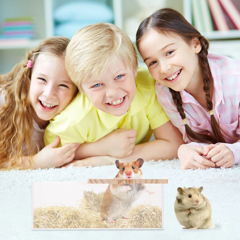 

Acrylic Sand Bath Basin Floor Chinchilla Bathtub Accessories Multi function Container Clear Hamster Cage Lightweight Transparent
