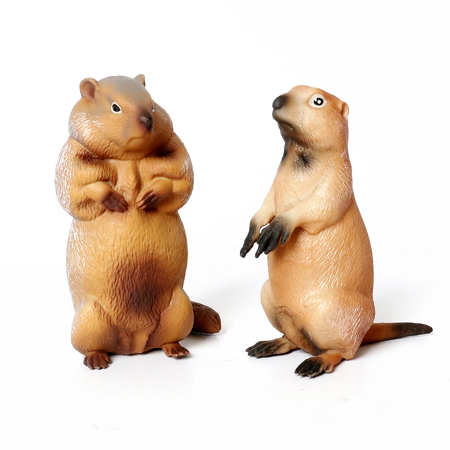 Realistic Rodent Wild Animals Capybara Beaver Mole Aardvark Mouse Chipmunk Squirrel Groundhog Model Figure Collection Toys
