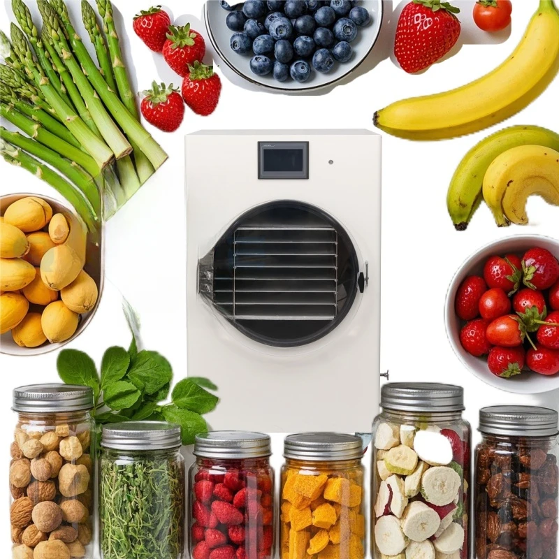 

HFD-25 Qiandie Brand Commercial Dryer Machine 220V Automatic Freeze Drying Equipment Food Processing SUS304