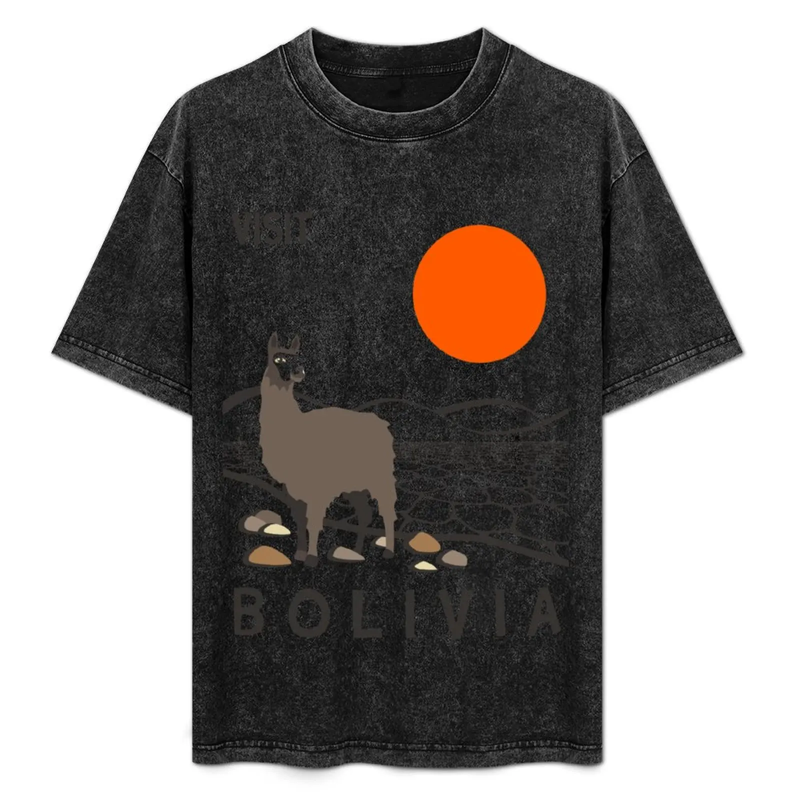 

Bolivia T-Shirt Everyday Wear Basic Short Sleeve Top