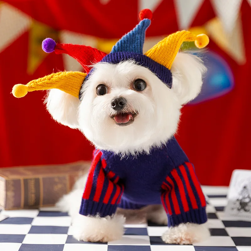 Autumn and winter new crazy circus clothes, dog cross dressing sweater set, small and medium-sized dog teddy bear pet clothing