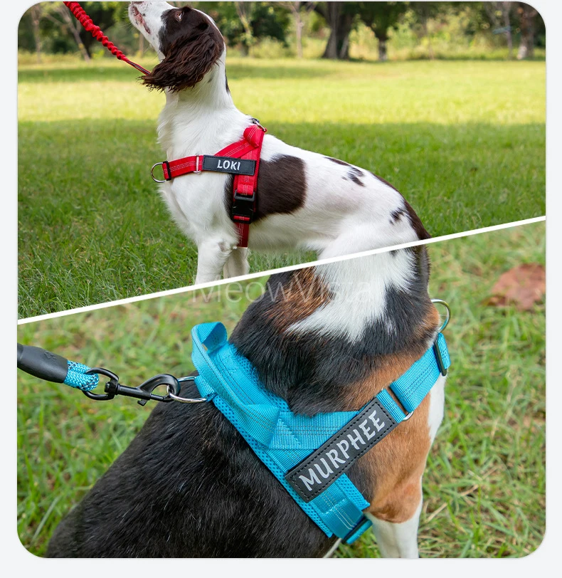 Personalized No Pull Dog Harness with Name Patch Escape-Proof Adjustable Reflective Soft Padded Dog Vest for Training Walking