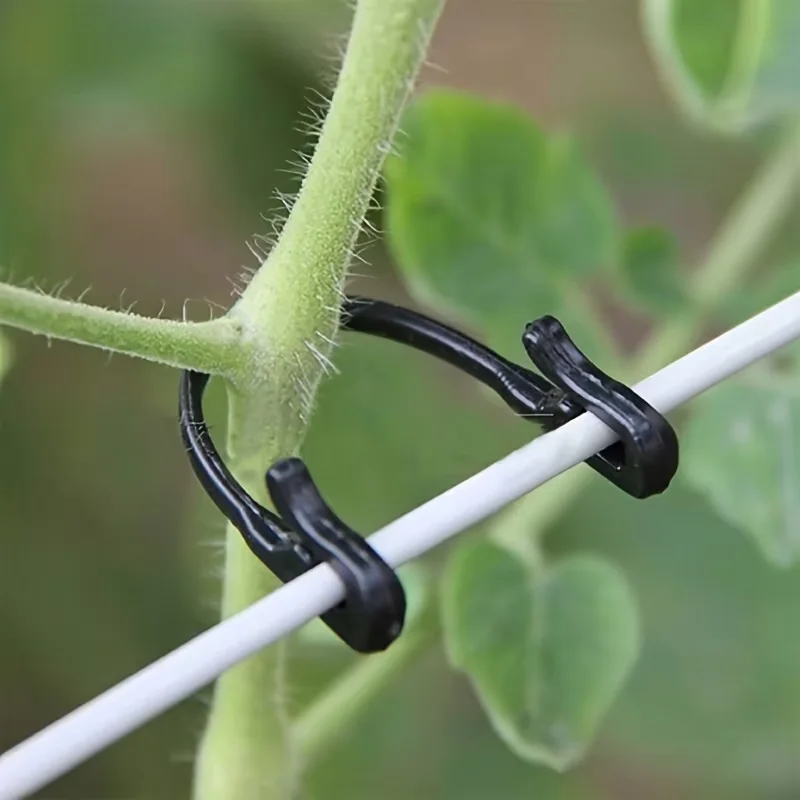50/100Pcs Garden Plants Fixed Clips Buckles Tomato Vegetable Grafting Clips Grape Support Vine Clips Plastic Fixed Buckle Hooks