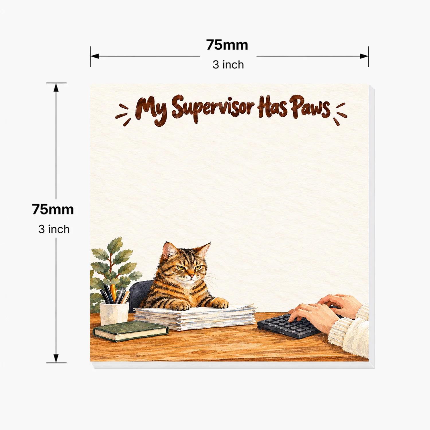 2PCS Cat Sticky Notes 100 Sheets My Supervisor Has Paws Funny Tabby Cat Office Humor Memo Pads for Work School Stationery