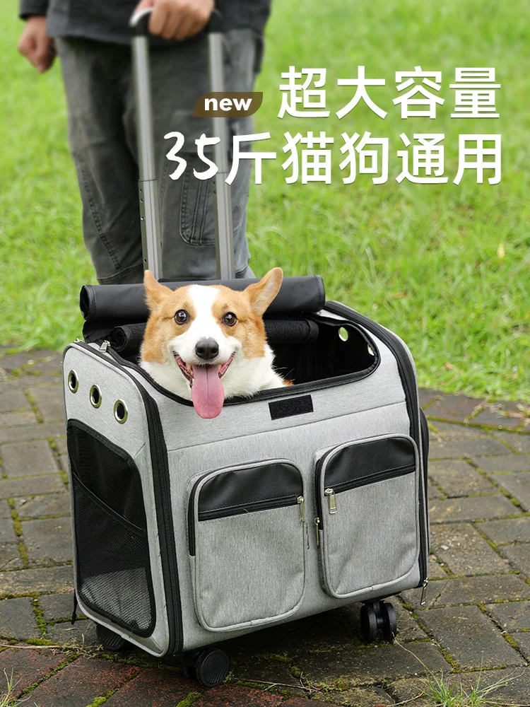 Portable cat bag, two cats, two cats, two cats, extra large dog bag, trolley luggage