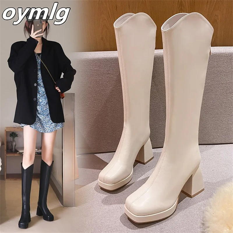 Large size high boots for women in winter new thick heels, high heels long boots  back zipper fashionable women\'s boots in stock