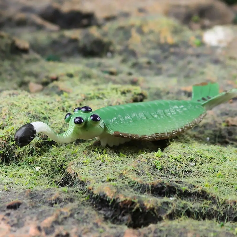 Prehistoric Ocean Animal Figure Nautilus Anomalocaris Marine Life Figurines Simulation Educational Trilobite Figure