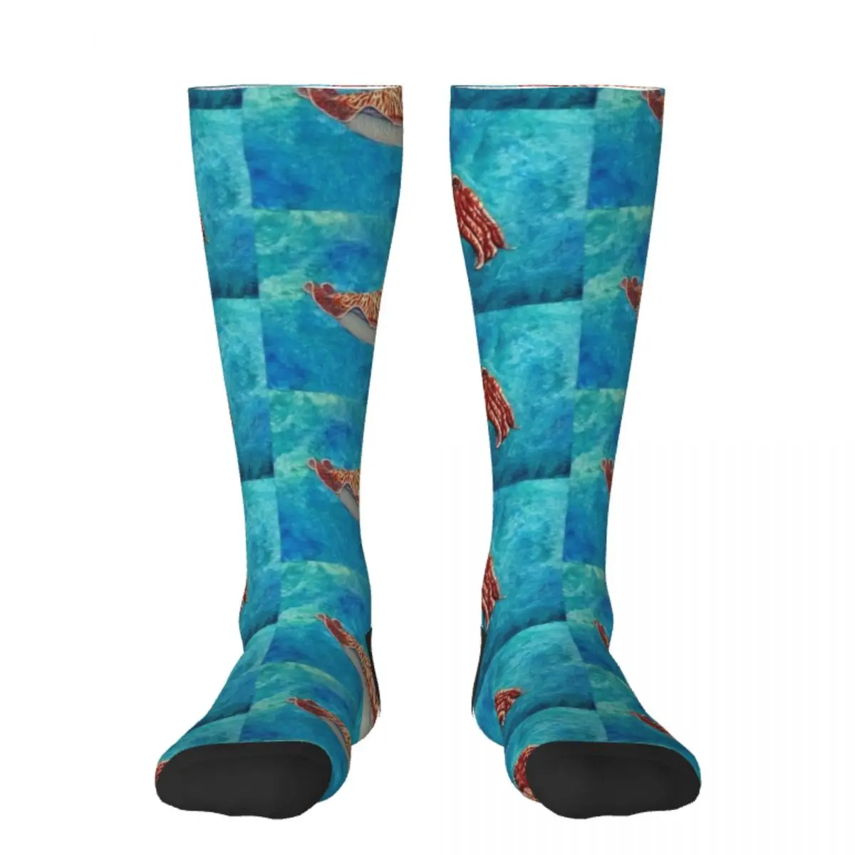 

Cuttlefish Socks Run gym Man Socks Women's