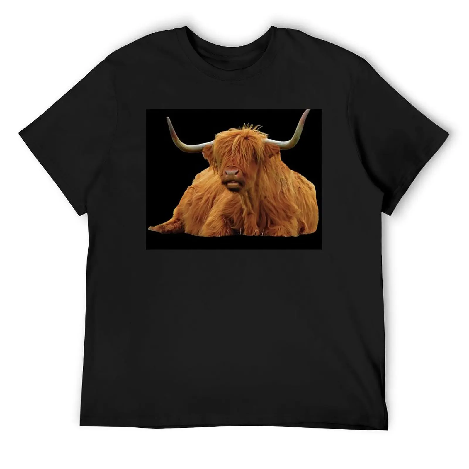 

Highland Cow on Tiree T-Shirt aesthetic clothes anime figures rapper graphic tees shirts graphic tee plain black t shirts men