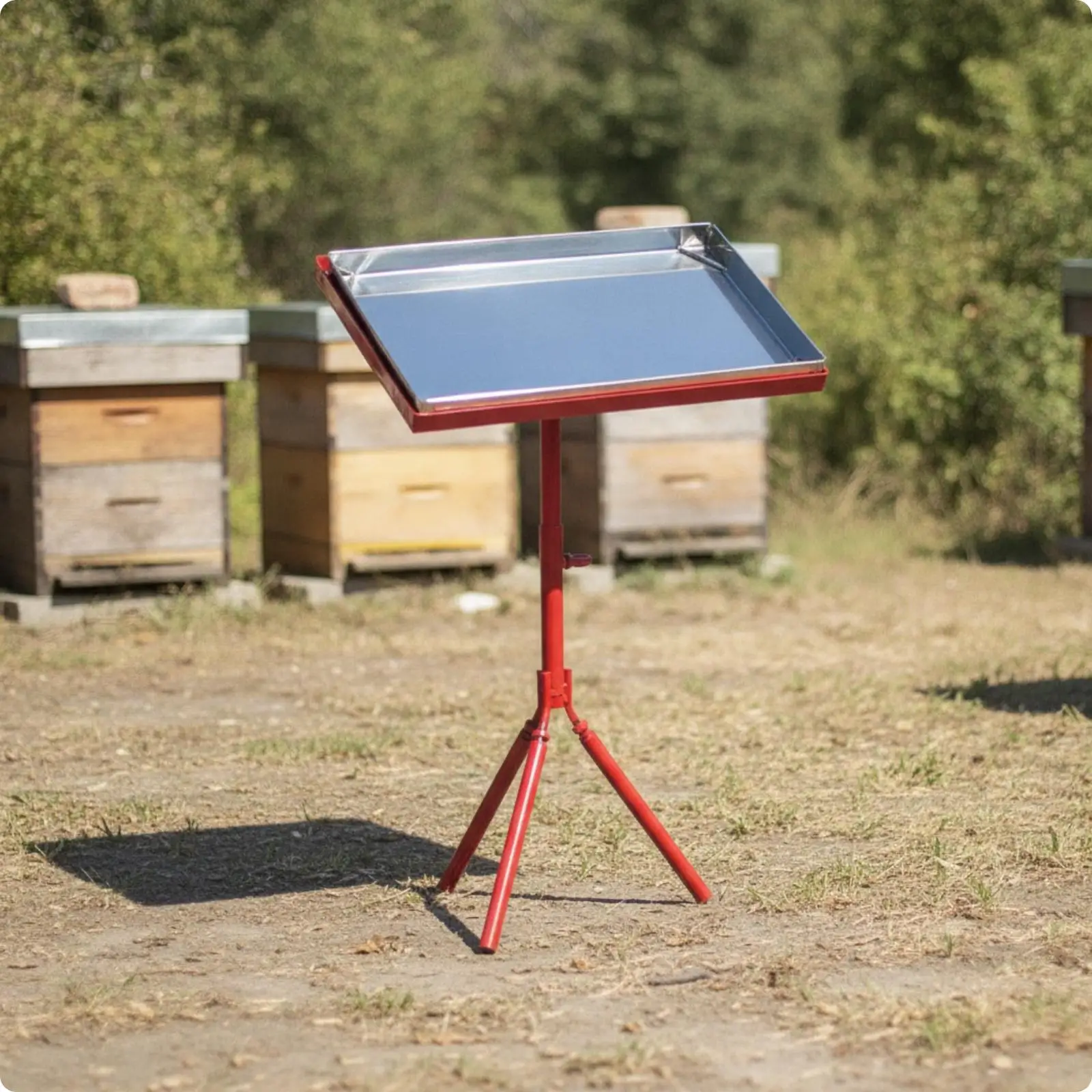 Support réglable pour cadres d'abeilles, en métal peint, avec plateau en acier inoxydable, pour travaux sur cadres de ruche et collecte de gelée royale