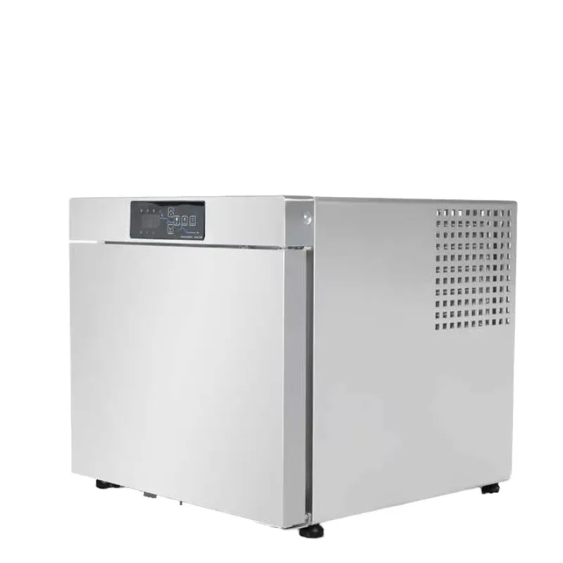 Compact Mini Blast Freezer -40°C Single-Temperature Air Cooling Quick Freeze for 1P 220v 50Hz Voltage for Home Bakery Shop Use