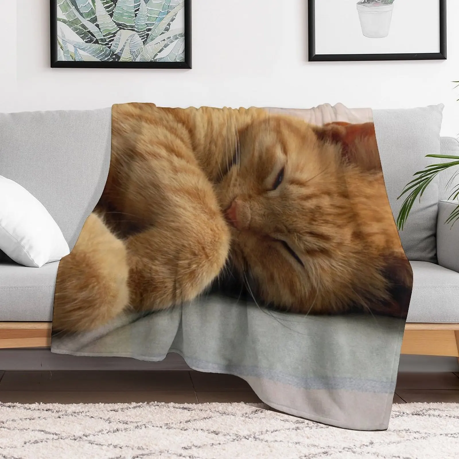 Ginger Cat Sleeping Throw Blanket Soft Plush Plaid Soft Plaid for winter Blankets