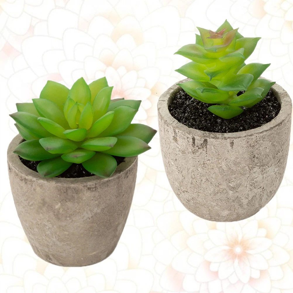 

3 Pcs Artificial Succulent Plants Lightweight Plastic Long Term Use Eco Friendly Non Fading Home Office Decor Window