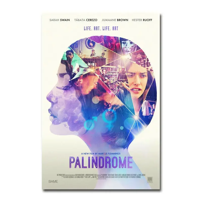 Póster de tela de seda de película Palindrome D0584, decoración artística, pintura interior, regalo