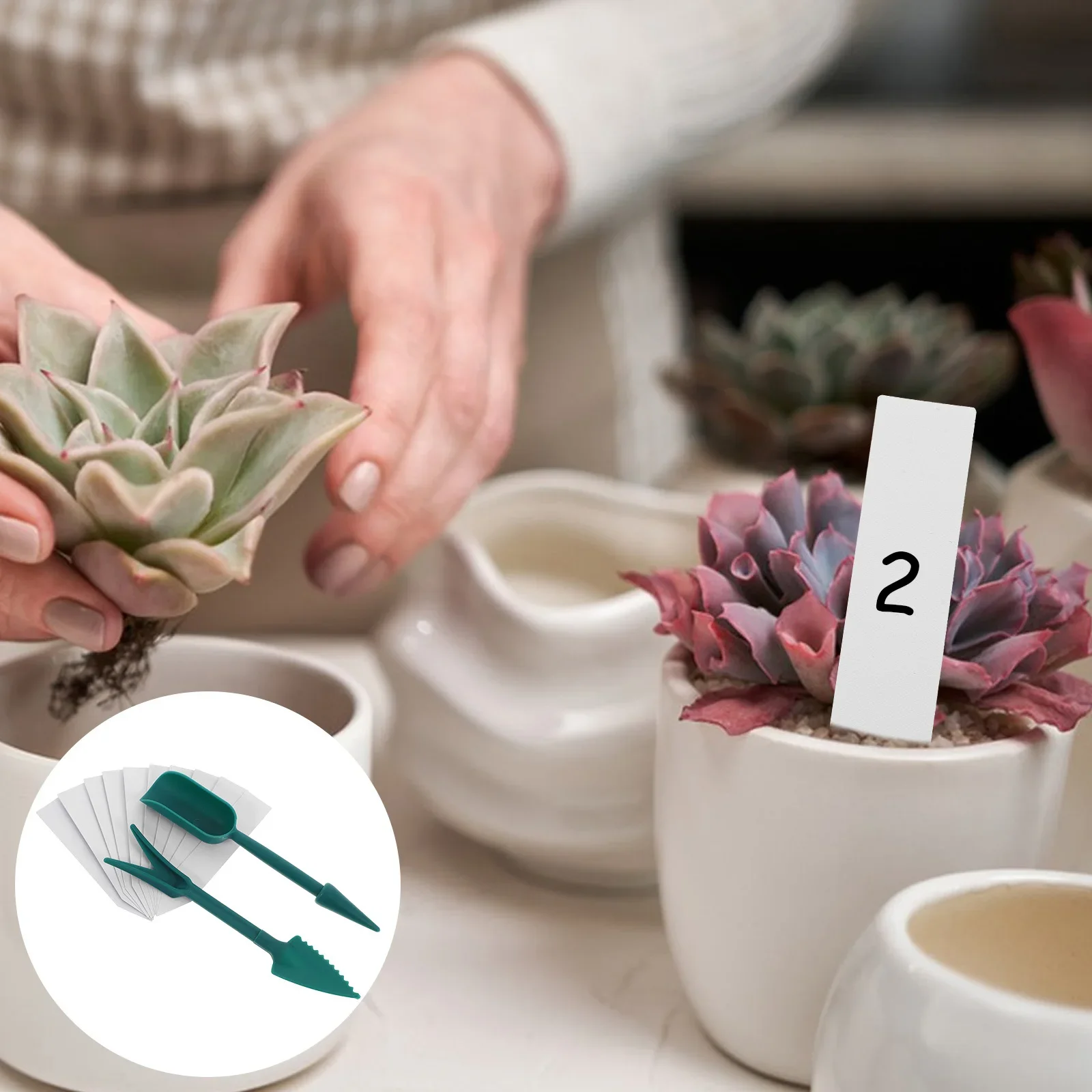 Multi-Functional Transplant Gardening Supplies Plant Labels Bonsai Flowerpot Cultivator  Succulent Planting Tool Set