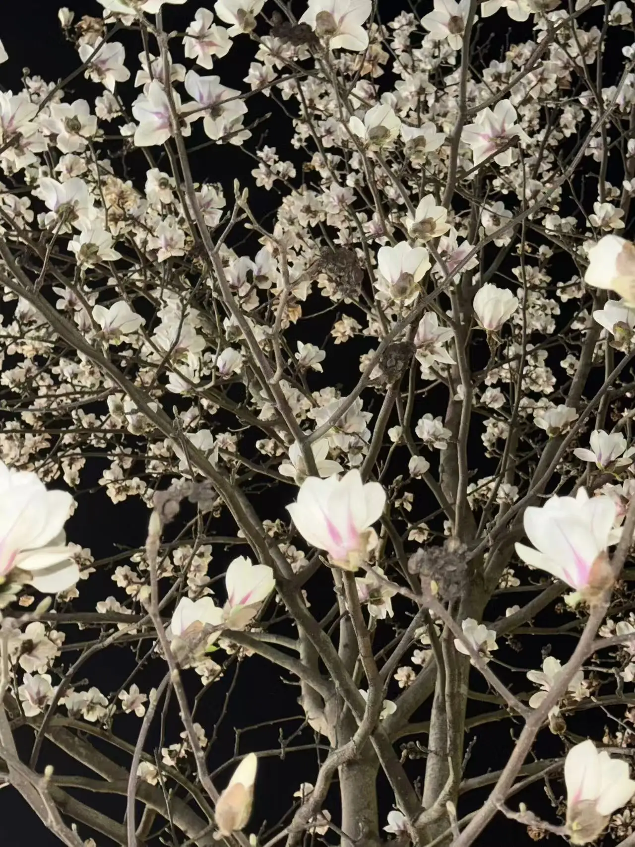 

1.5V AA AAA Battery Rechargeable Lithium-ion Battery multi-cycle for remote control mouse small fan Electric toy charger