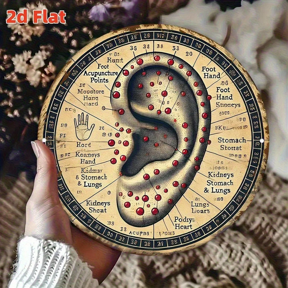 2D Flat Aluminum Wall Art Sign, Durable TCM Ear & Foot Reflexology Acupoint Chart for Home Medical Clinic Decor