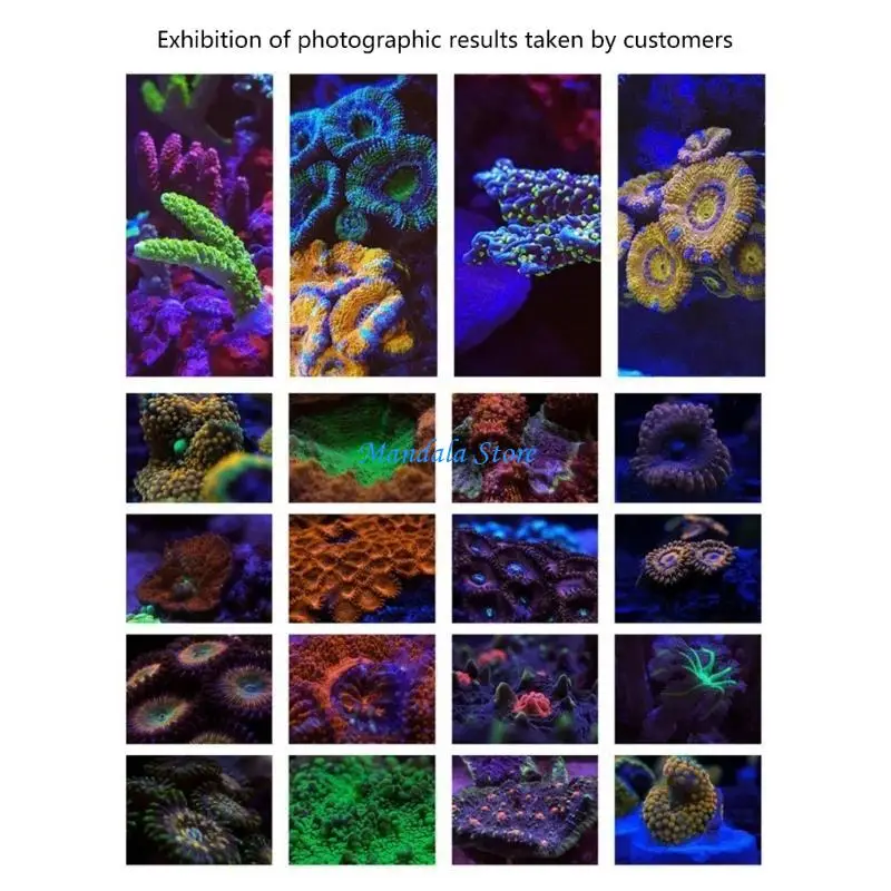 

U2JC Camera Lens Filter with Lens Clip Camera Lens Filter Photography Tool