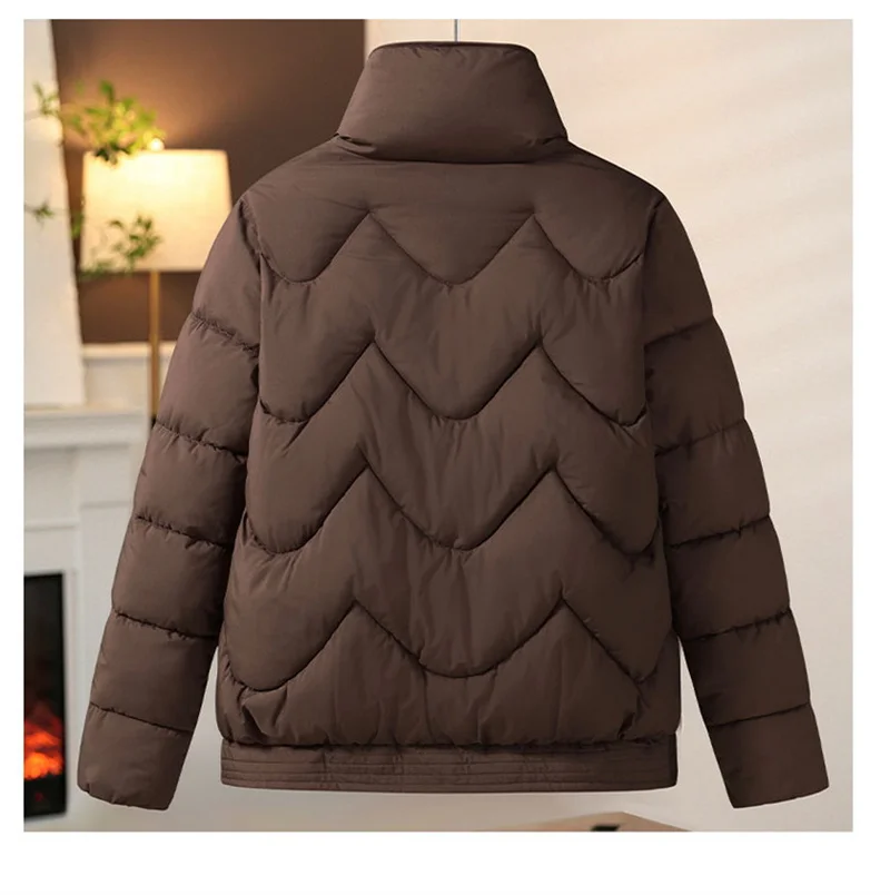 Women Jacket 2024 Chinese Style Winter Parkas Female Thick Warm Down Cotton Coat Femme Casual Short Basic Outerwear Ladies Top