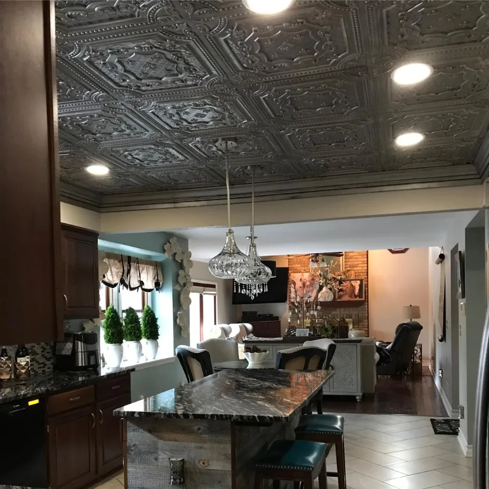 数時間でプレーンなものを美しくする DCT04 エリザベス様式シールド PVC 2フィート x 2フィート レイインまたは接着式天井タイル（カバー/40平方フィート）、耐候性