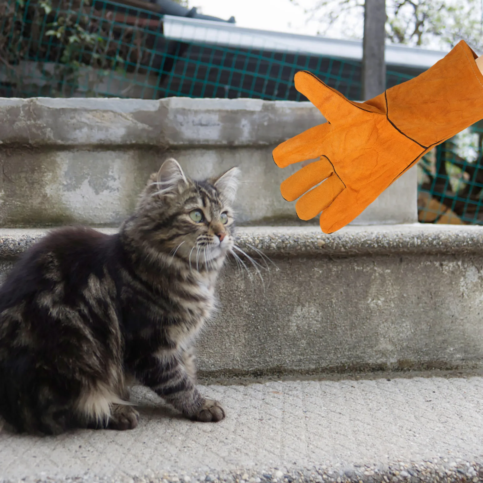 

Anti Bite Yellow Pet Protective Training Gloves for Cat Dog Parrot Lizard Squirrel Snake Handling Double Layer Cowhide