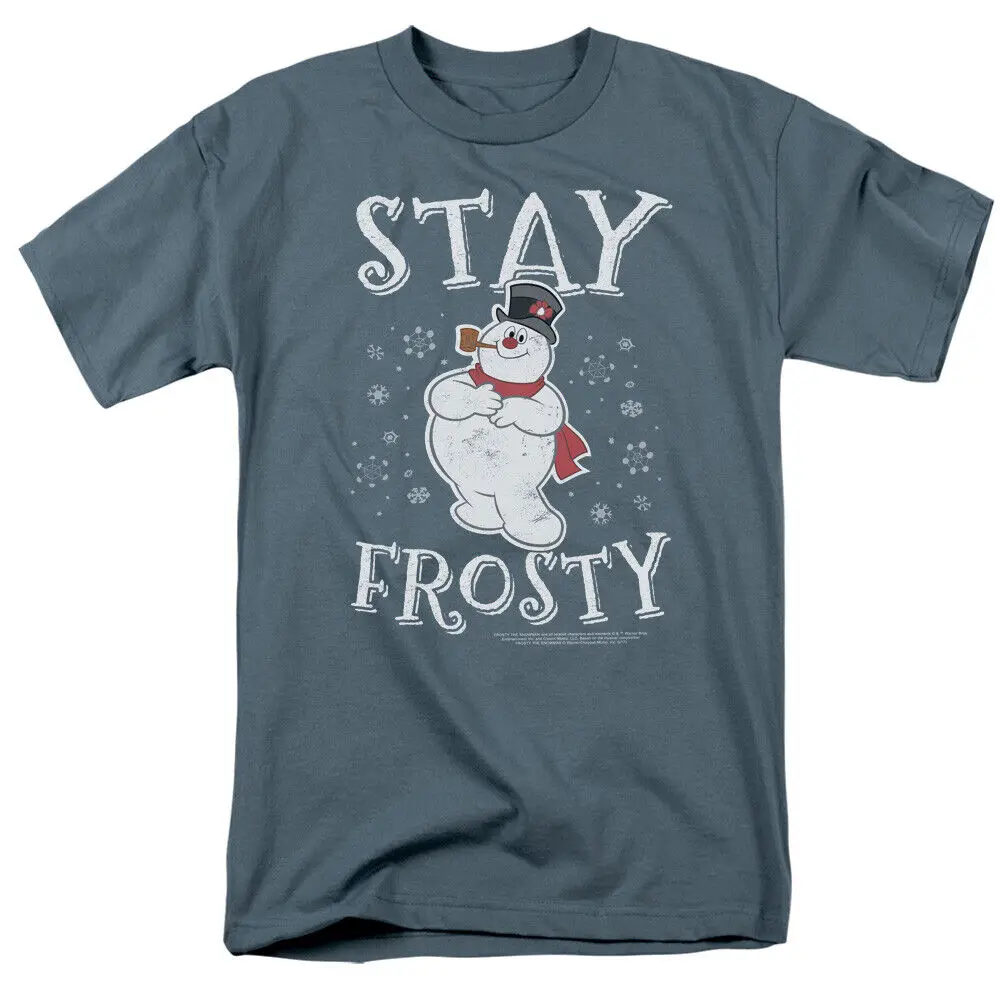 Frosty the Snowman Stay T Shirt Mens Licensed Cartoon Merchandise Slate