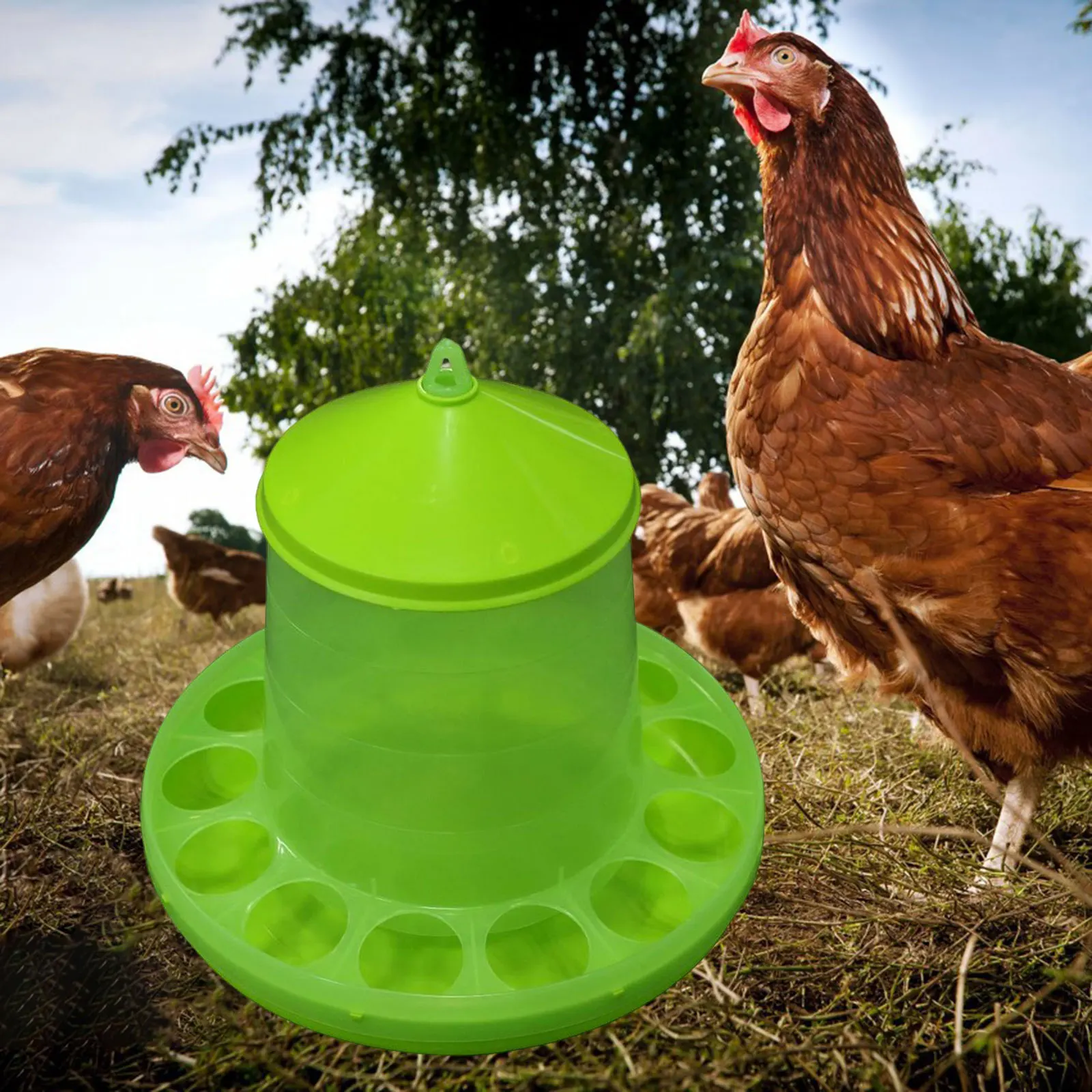 1Pc Chicken Waterer Automatic Chicken Feeder Chick Drinker Bucket Farm Animal Poultry Feeding Tools for Bird Quail Chick Pigeon