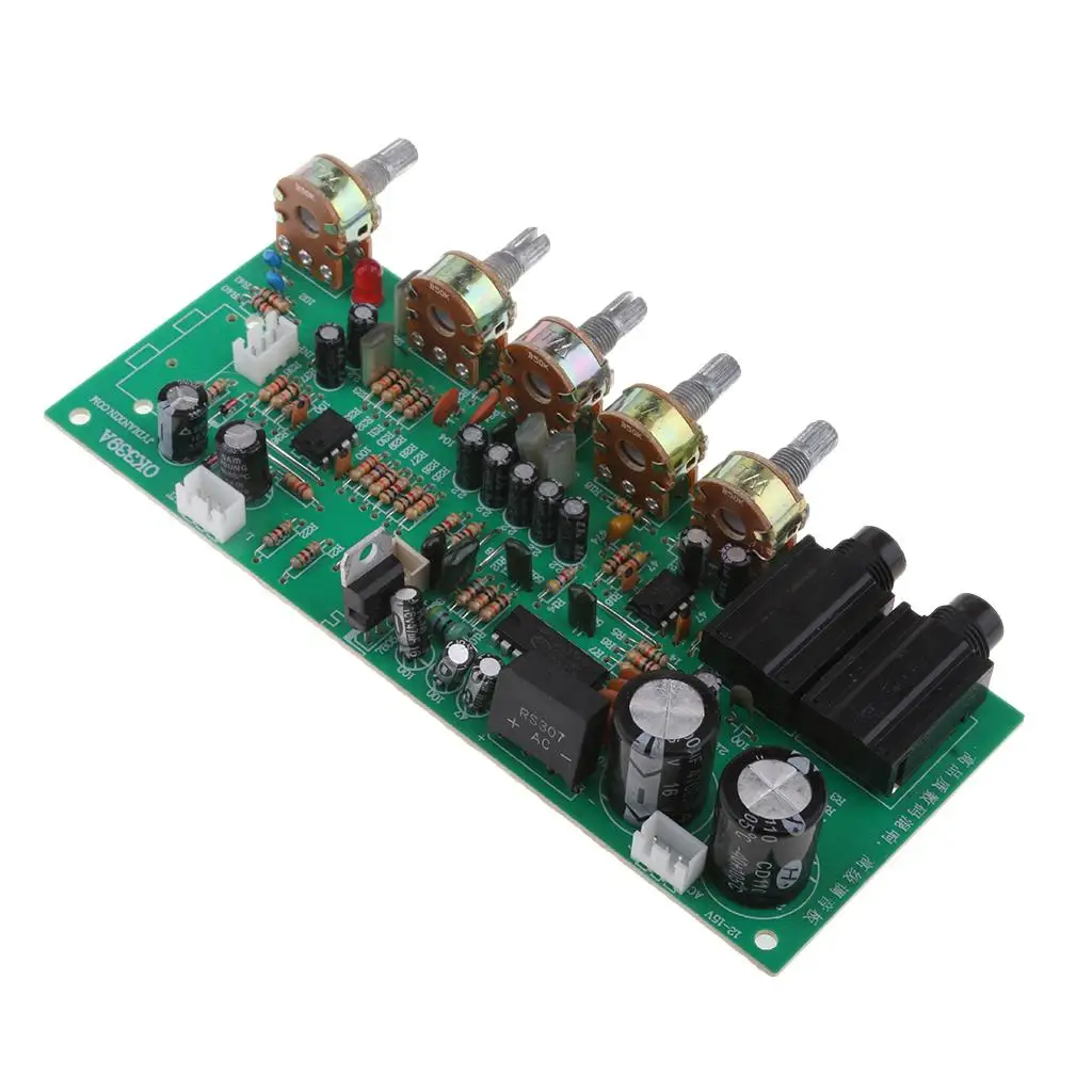 Karaoke Reverberation Amplifier Board 12v Auto Mute Circuit Sound Amplifier Board for Automotive Sound Module and Home Audio