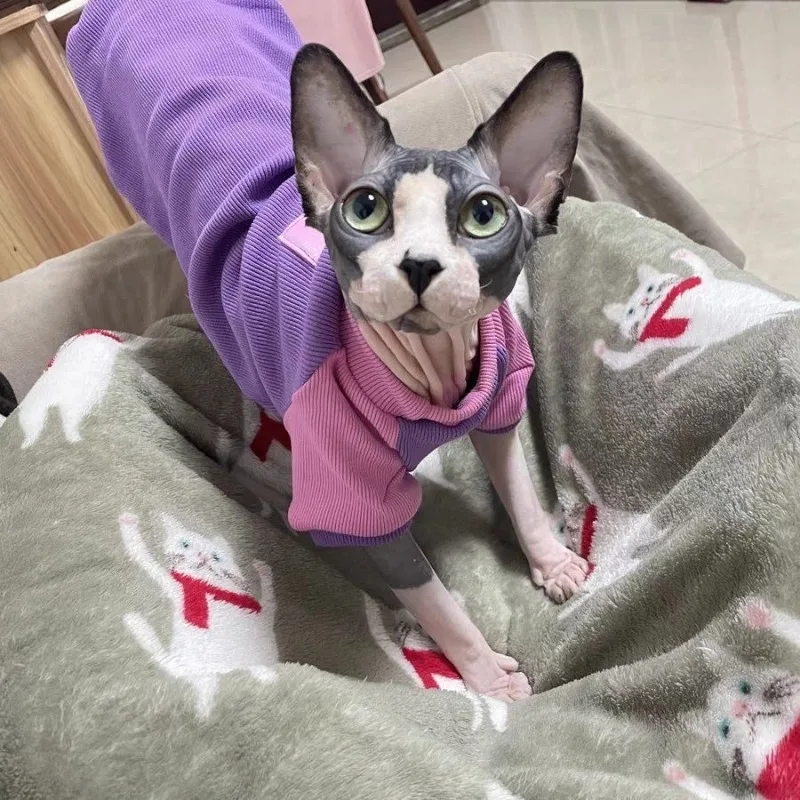 Sphinx Hairless Cat German Cat Clothing Pure Cotton Spring and Autumn Purple High Elastic Hoodie