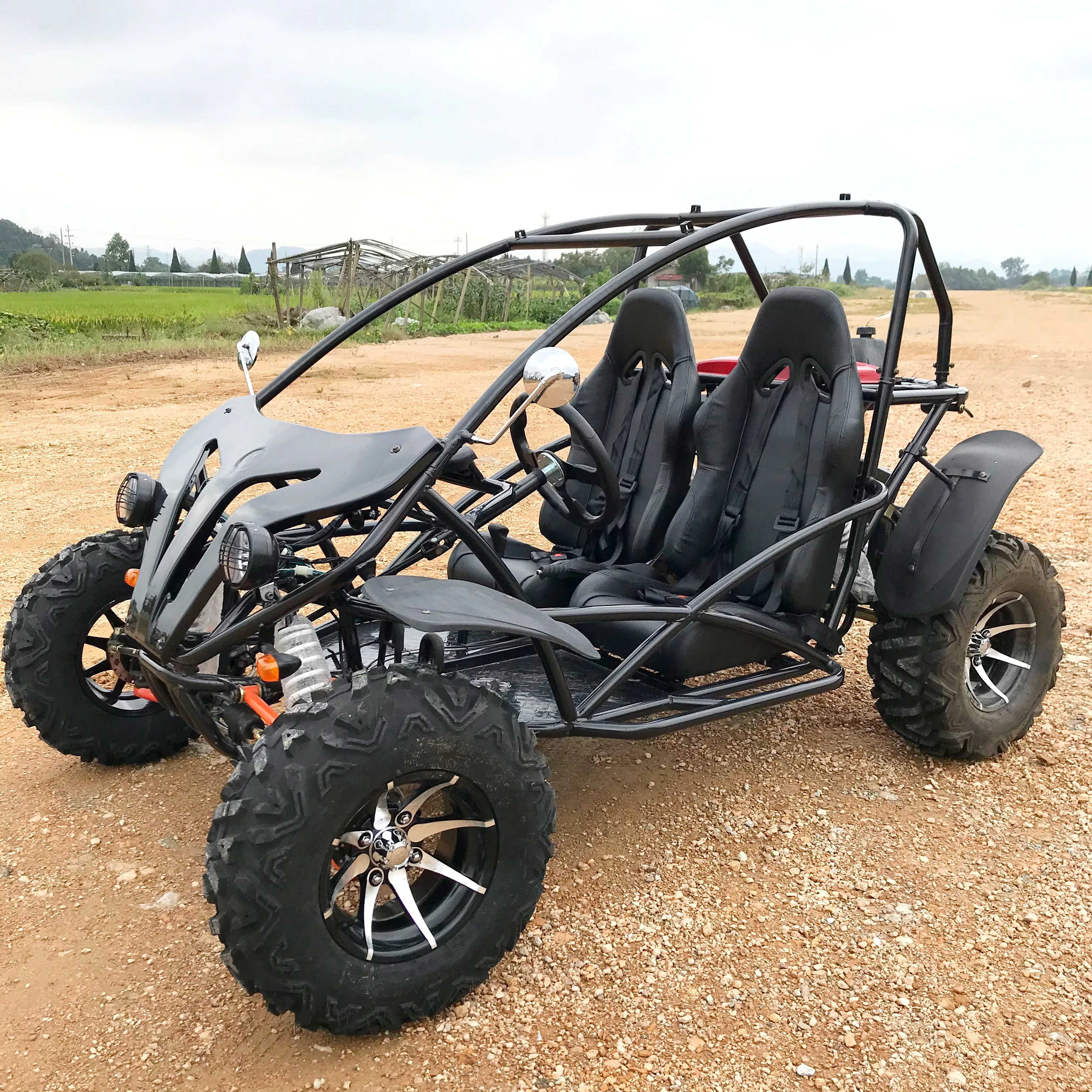 

LNA so popular 200cc offroad go kart