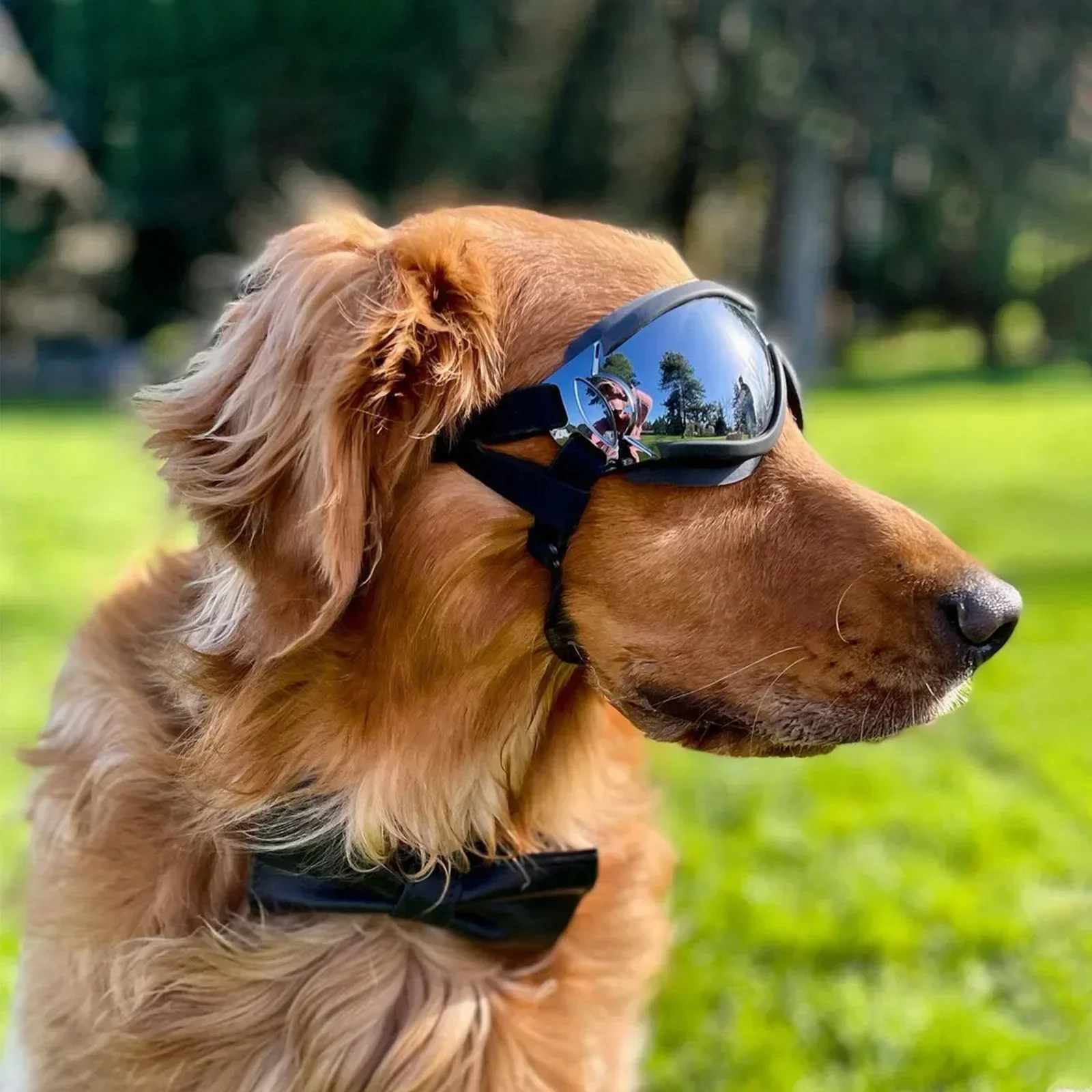 Ventilated Dog Goggles UV Wind Dust Proof Pet Sunglasses Dual Adjustable Straps Eye Protection for Driving Biking S/M/L Dogs